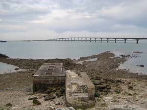 IMG_0181