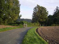 IMGP0019