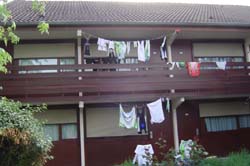 DSC03945