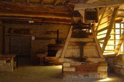 DSC03956