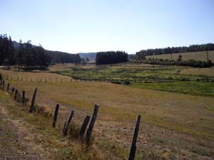11-10-04-Entre Rimeize et Aumont-Aubrac-1