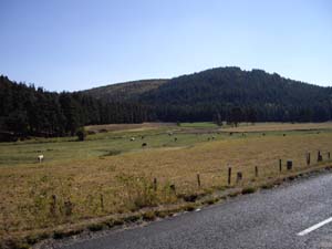 11-10-04-Entre Rimeize et Aumont-Aubrac-4