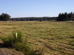 11-10-04-Sur le chemin du retour