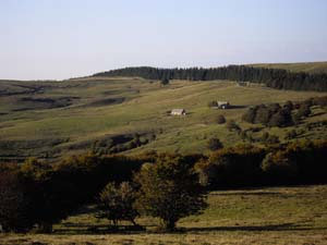 11-10-04-Vue sur l Aubrac-4