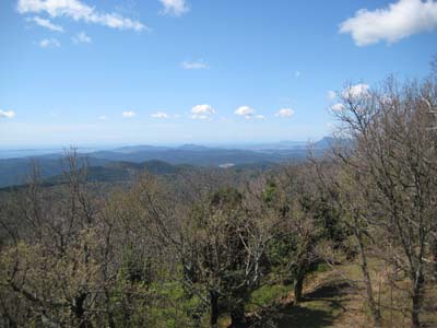 aaaa