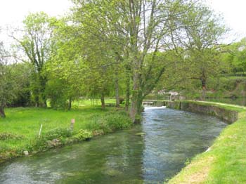 IMG_2041