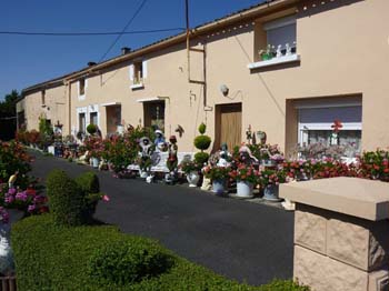 P1020634(1)