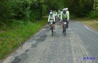 17 Foret de Nemours